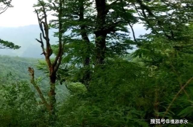 如何在百度知道，发布视频回答获得十万赞?游戏画面